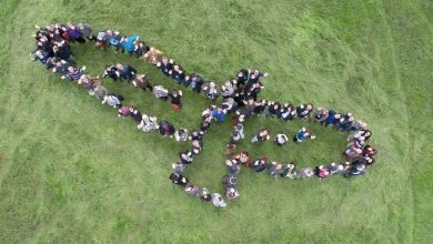 Photo of World Migratory Bird Day: How Can Bird Diverters Help?