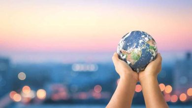 Photo of How To Offset a Carbon Footprint of the Company?