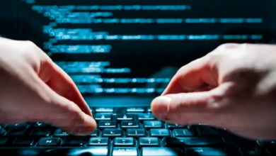 Photo of 6 Reasons Why Software Development Is Important