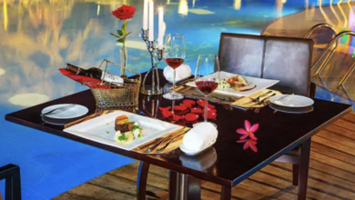 Photo of Ceramic Vs. Porcelain Dinnerware: Top 4 Differences You Must Know