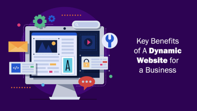 Photo of Key Benefits of a Dynamic Website for a Business