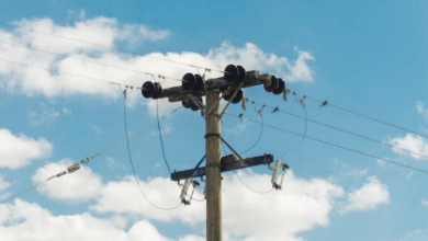 Photo of The Secret of Vibration Damper in Transmission Line