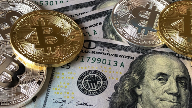 Photo of All You Need to Know About EB-5 Investor Program