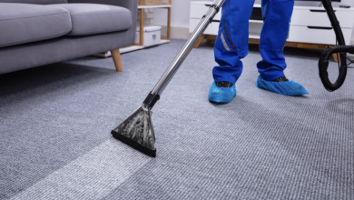 Photo of Professional Advice: Carpet Cleaning Mistakes