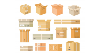 Photo of Why Should You Invest in Automatic Case Packer Machines?