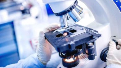 Photo of Analyzing RNA Expression with Microarray Reagents: Best Practices and Pitfalls to Avoid