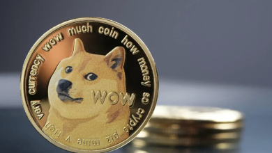 Photo of Explain In Detail – How does Dogecoin Work?