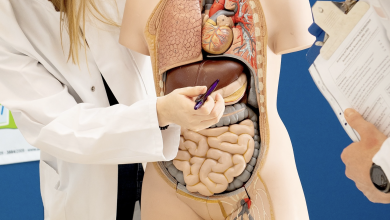 Photo of Liver Health Supplements: Which Ones Actually Work and Which Ones to Avoid