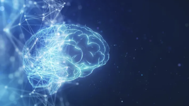 Photo of 2023: The Year of Cloud Democratization and the Rise of the Digital Underdog