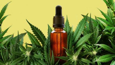 Photo of The Power of Herbs: Top 5 Health Benefits