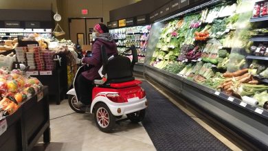 Photo of Navigating the Complexities of Canadian Disability Law: A Comprehensive Guide