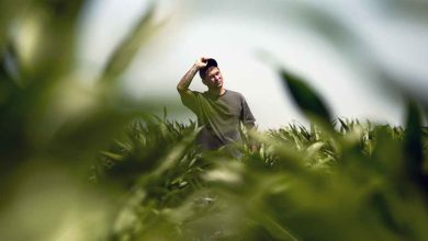 Photo of Inside the Mind of Stefan Soloviev: Unraveling the Secrets of his Success