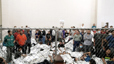 Photo of Navigating Immigration Pathways in the Face of Skill Shortages