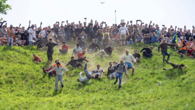 Photo of Settling in the UK: Embracing British Traditions and Culture