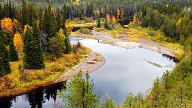 Photo of Understanding Finland’s Unique Climate