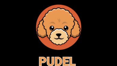Photo of PUDEL Coin Preparing for a Leap Forward