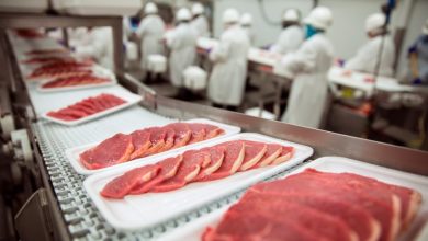 Photo of Efficiency Boost: Advantages of Food Line Machinery for Manufacturers