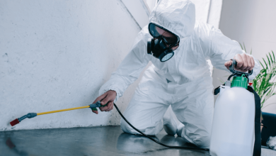 Photo of The Importance of Professional Pest Control for a Safe Home