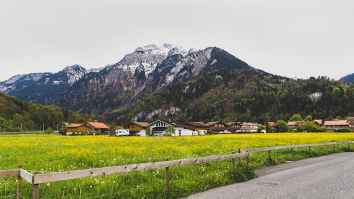3 Ways that Landslip Risk Assessment Can Protect Your Build Against a Potential Landslide