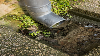 Photo of 4 Services a Drainage Plumber Can Assist You With