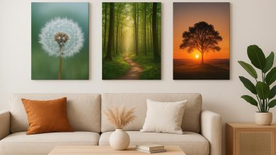 Photo of Canvas Prints: A Creative Way to Elevate Interior Spaces