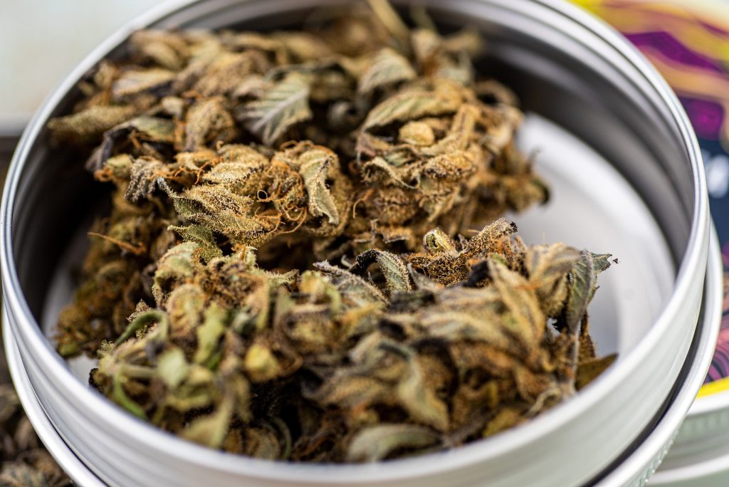 The Three Programs Offering the Medicare CBD Incentive