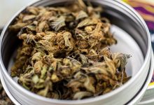 Photo of The Three Programs Offering the Medicare CBD Incentive