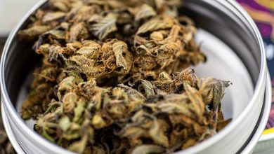 Photo of The Three Programs Offering the Medicare CBD Incentive