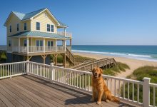 Photo of Top Features To Look For In Pet Friendly Beach Rentals NC