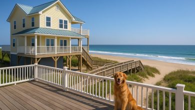 Photo of Top Features To Look For In Pet Friendly Beach Rentals NC