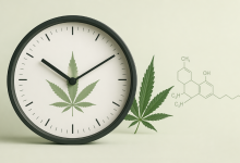 Photo of How Long Does THC Stay in Your System? (What Actually Matters)