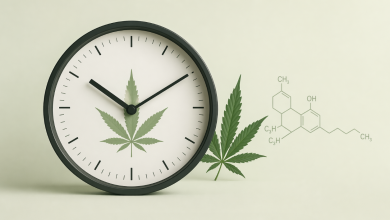 Photo of How Long Does THC Stay in Your System? (What Actually Matters)