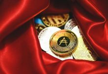 Photo of The Meaning behind AA Chips and Coins Explained