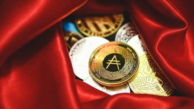Photo of The Meaning behind AA Chips and Coins Explained