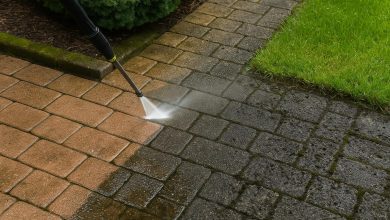Photo of Seasonal Pressure Washing: Protect and Enhance Your Outdoor Spaces Year-Round