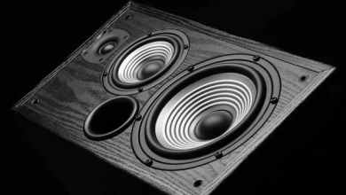 Photo of The Evolution and Functionality of Modern Loudspeakers