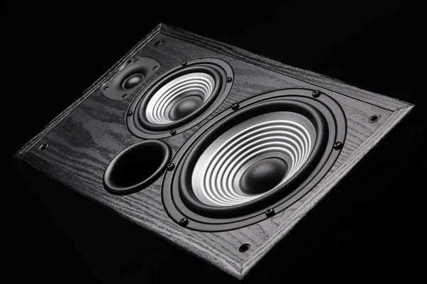 Image 1 of The Evolution and Functionality of Modern Loudspeakers