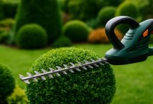 Photo of Maintaining Ornamental Plants: When and How to Use a Bush Trimmer Correctly