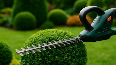 Photo of Maintaining Ornamental Plants: When and How to Use a Bush Trimmer Correctly