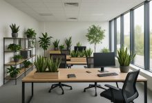 Photo of Creating Sustainable and Healthy Office Environments