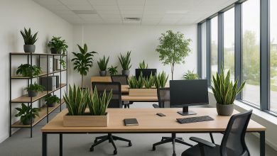 Photo of Creating Sustainable and Healthy Office Environments
