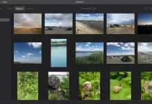 Photo of Top 5 Google Photos Alternatives for Photo Organization: From Desktop Solutions to Self-Hosted Systems