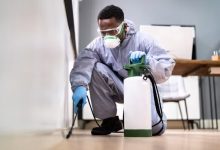 Photo of Why Do Homeowners Never Look Back After Finding The Right Pest Team?