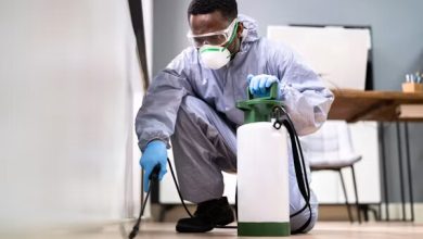 Photo of Why Do Homeowners Never Look Back After Finding The Right Pest Team?